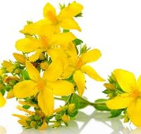 St. John's wort to stimulate potency