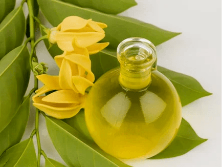 Aromatherapy to improve potency